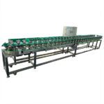 Rotating Trays Weight Grader for Fruits