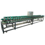Rotating Trays Weight Grader for Fruits